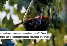 Some people get headaches after drinking red wine. Yuliia Kokosha/Moment via Getty Images